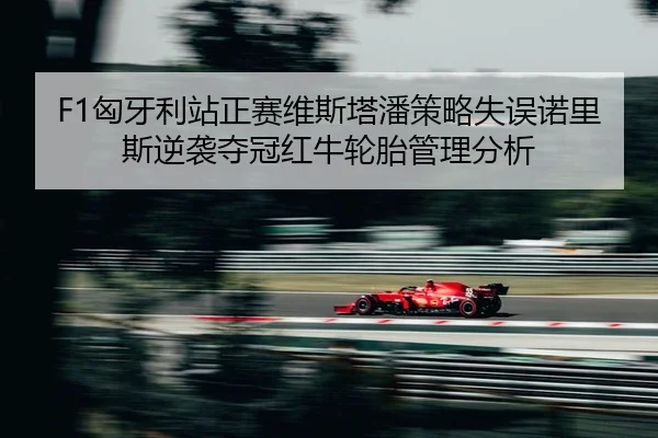 xiong-ya-li-zhan-zheng-sai-wei-si-ta-pan-ce-lve-shi-wu-nuo-li-si-ni-xi-duo-guan-hong-niu-lun-tai-guan-li-fen-xi-2-625.jpg